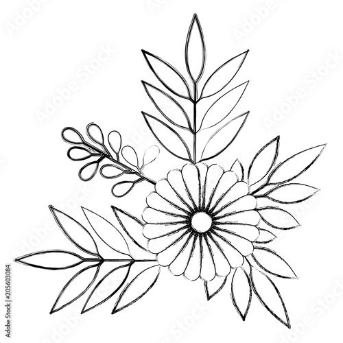 flowers and leafs decoratives vector illustration design © grgroup