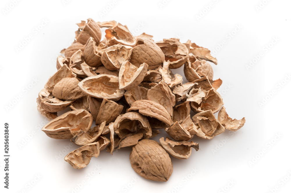 Pile of shells nutshells Pile of shells nutshells