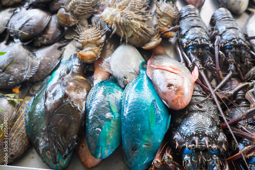 Colourful fresh fish plus crayfish or lobsters for sale at Apia Seafood Market in Samoa, South Pacific photo