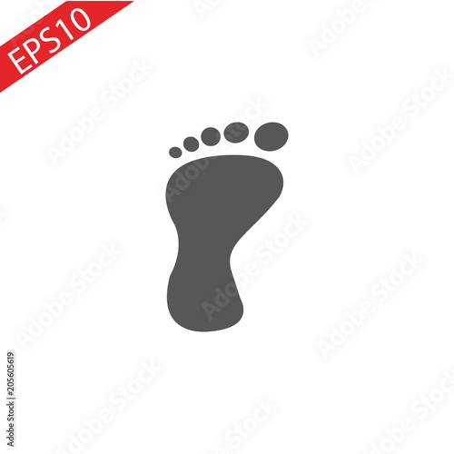 Foot