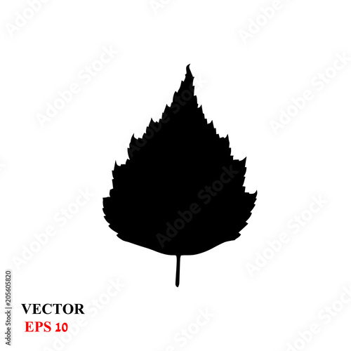 birch leaf. vector illustration