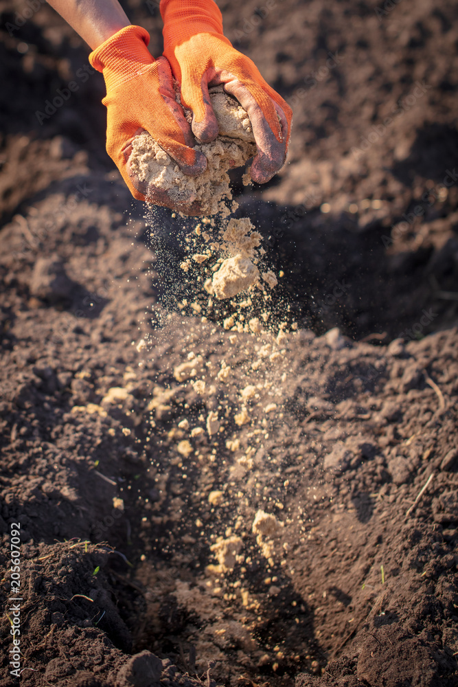 The manure in the garden in the spring The manure in the garden in the spring