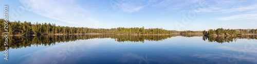 forest lake on a sunny day © Maslov Dmitry