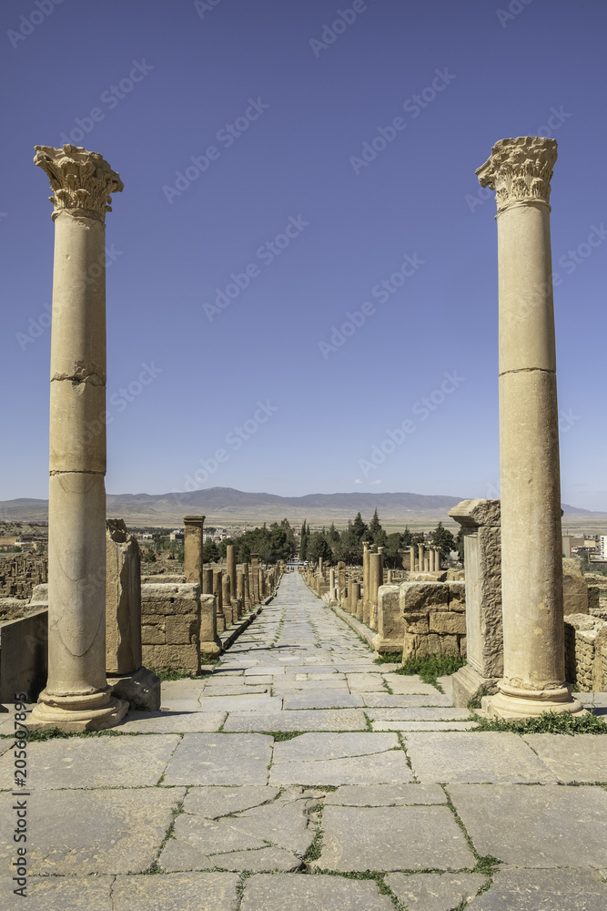 Fototapeta premium Cardo Maximus street in roman town Timgad (Colonia Marciana Ulpia Traiana Thamugadi), Algeria