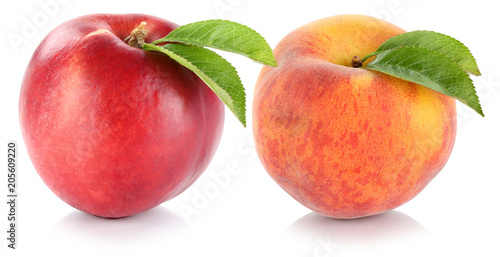 Nektarine und Pfirsich Frucht Früchte frisch Obst Freisteller freigestellt isoliert