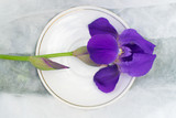  a flower of iris in a white plate on a white cloth. horizontal romantic background.