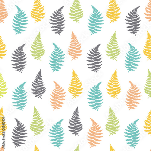 Vector botanical illustration of fern leaf