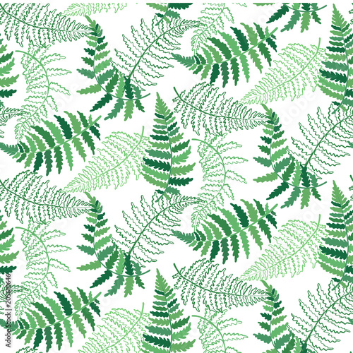 Vector pattern illustration of fern leaf