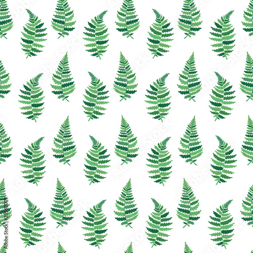 Vector pattern illustration of fern leaf