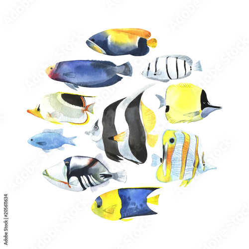 Round print with watercolor tropical fish.