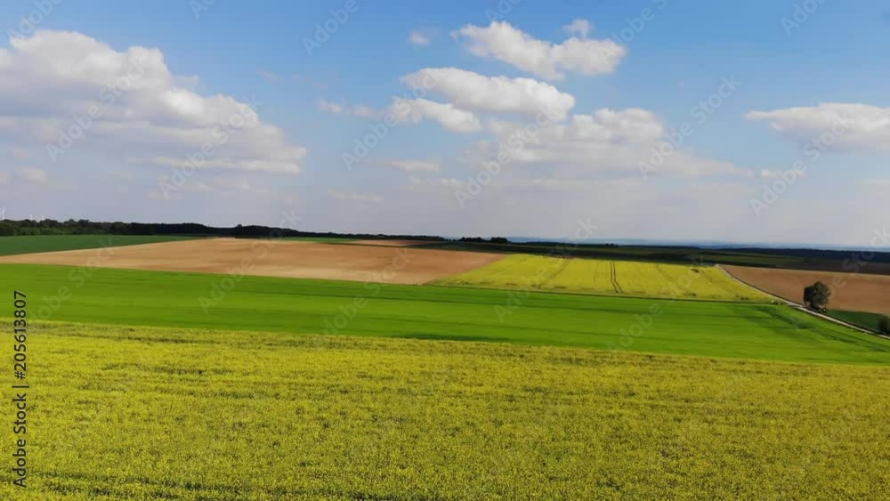 Flight over a rapefield in the country - beautiful aerial footage Flight over a rapefield in the country - beautiful aerial footage