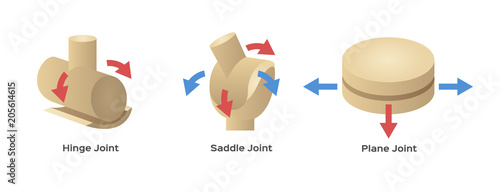 joint type vector