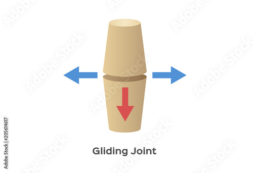 joint type vector