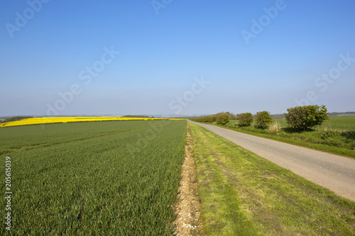 upland farm road with crops