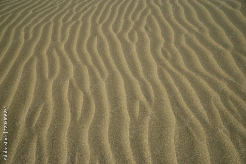 Perfect flawless texture of sand dunes at the beach. Perfect flawless texture of sand dunes at the beach.