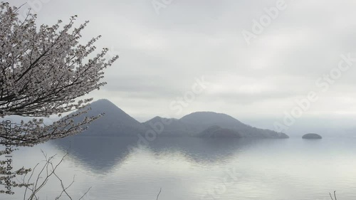 洞爺湖　桜