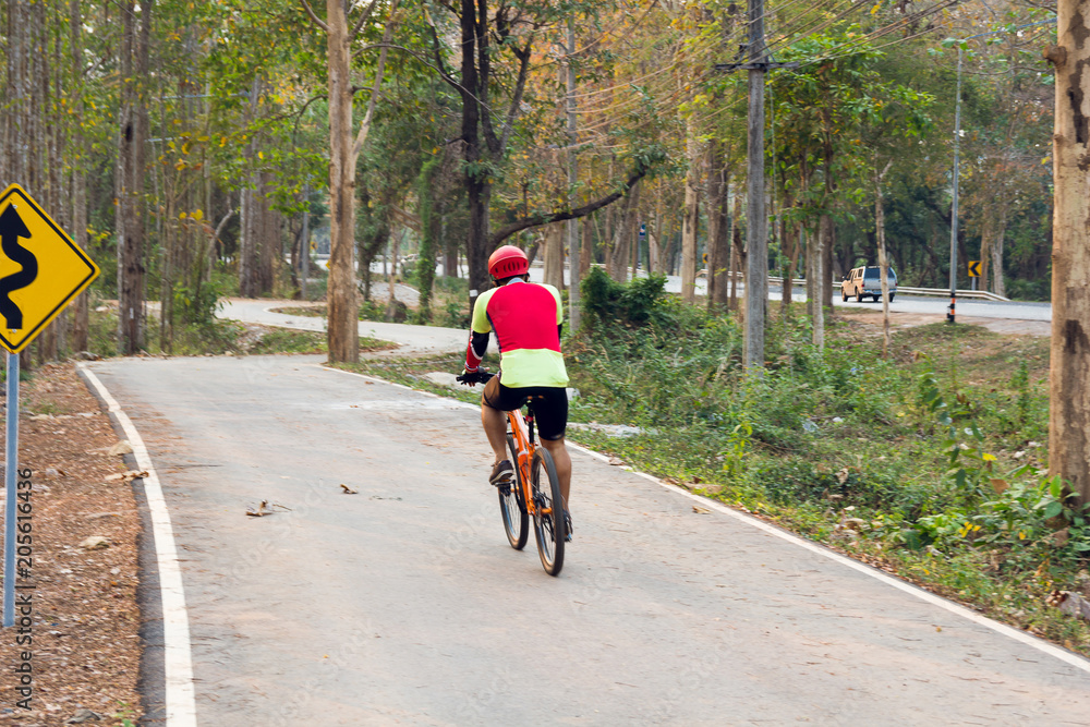 Fototapeta premium Nature green trees with rural road bike in quiet park in spring.at sunny sunset.pedestrian and bicycle