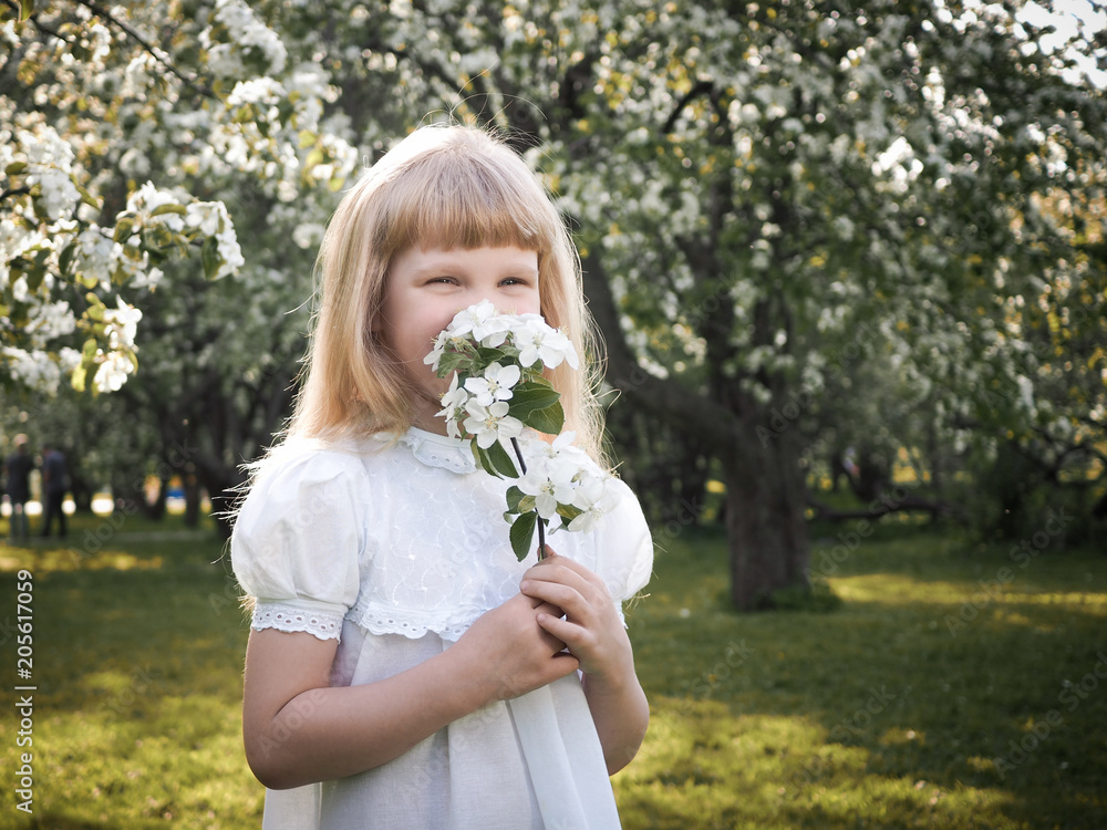A little girl in a blooming Apple orchard