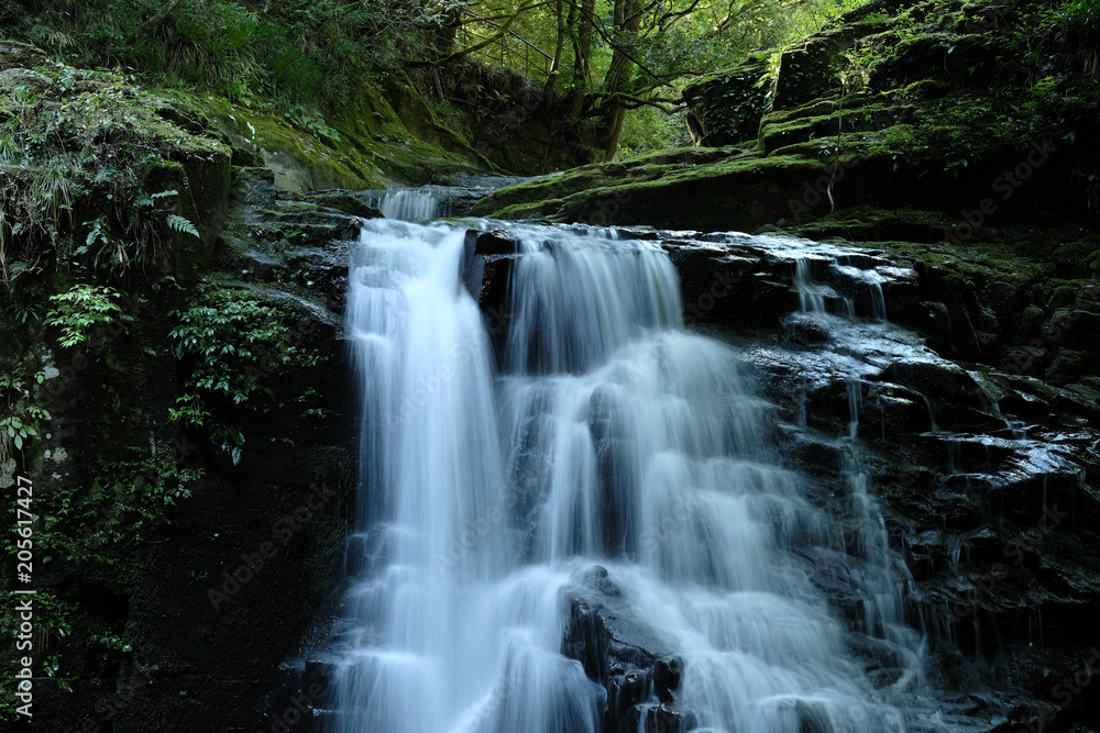 Obraz premium 新緑の渓谷 #2