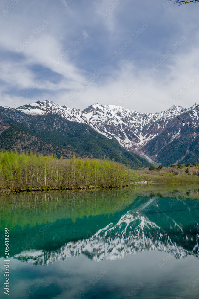 Fototapeta premium 新緑の上高地 大正池と穂高連峰