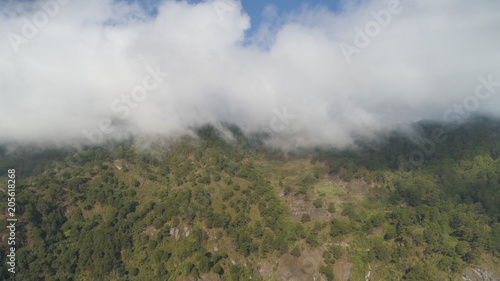 Aerial view of mountains covered forest, trees in clouds and fog. Cordillera region. Luzon, Philippines. Slopes of mountains with evergreen vegetation. Mountainous tropical landscape.