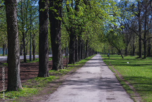 Path in Wiener Prater park in Vienna city, capital of Austria