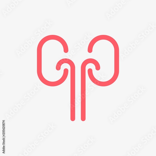 kidney