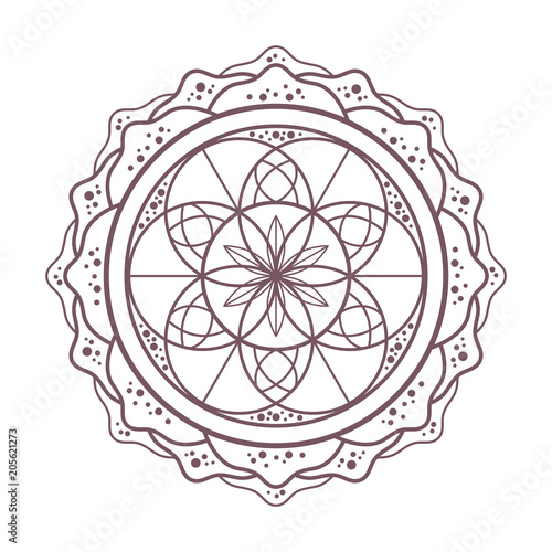 Line art of circular intricate mandala in flower shape designed for coloring books