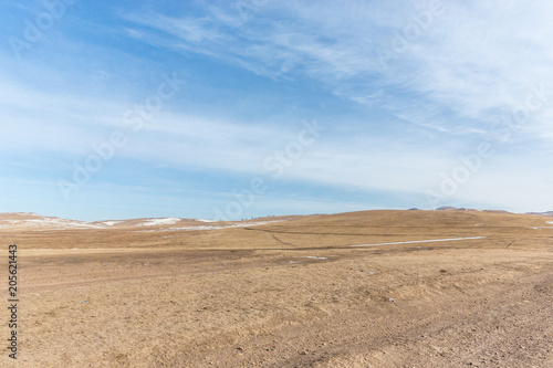 landscape on grassland