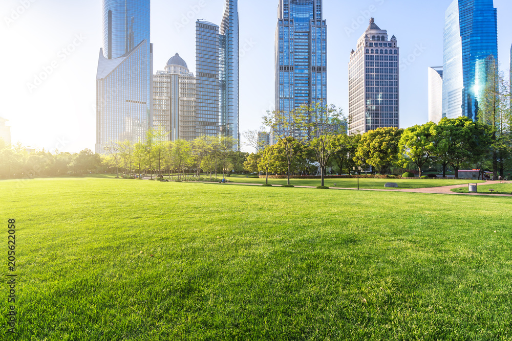 Fototapeta premium modern office building with green lawn in park