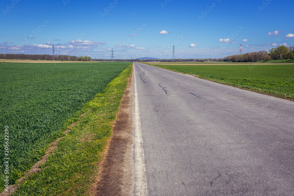 Fototapeta premium Asphalt road among fields near Mannsdorf an der Donau village, Austria