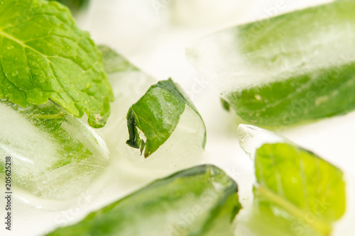 Refreshing ice cubes with mint