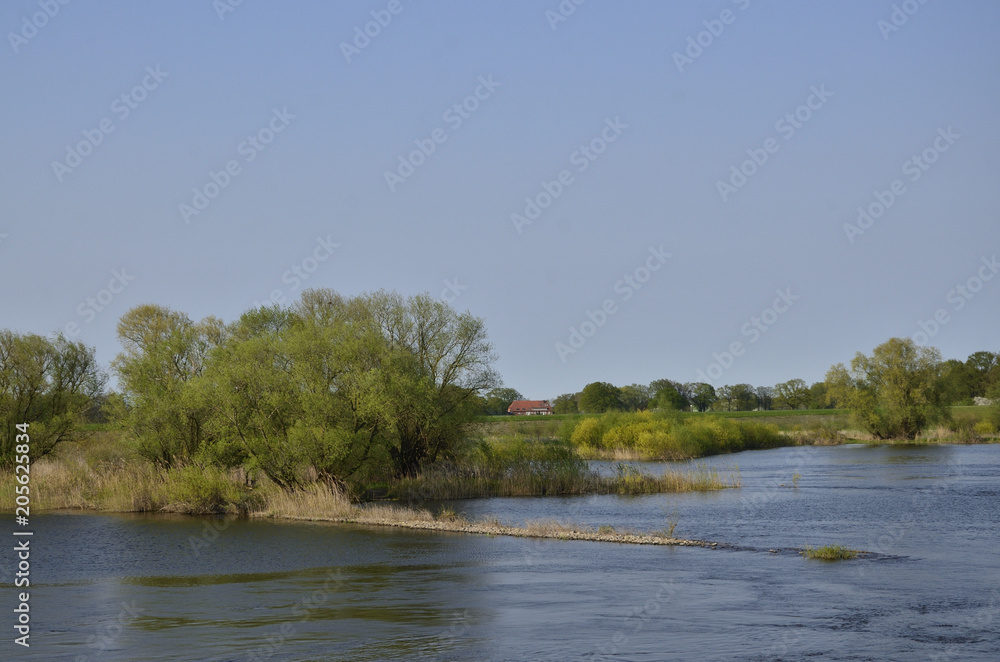 Flusslandschaft an der Unterelbe bei Bleckede Flusslandschaft an der Unterelbe bei Bleckede