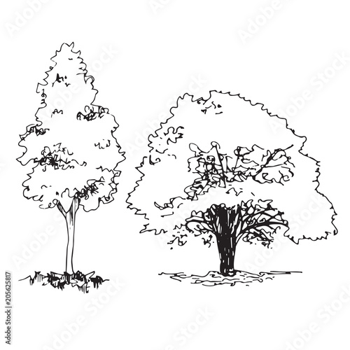 Set of hand drawn architect trees, sketch tree silhouette