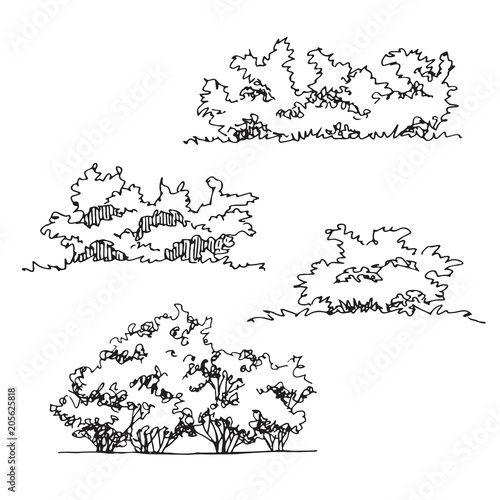 Set of hand drawn architect bushes