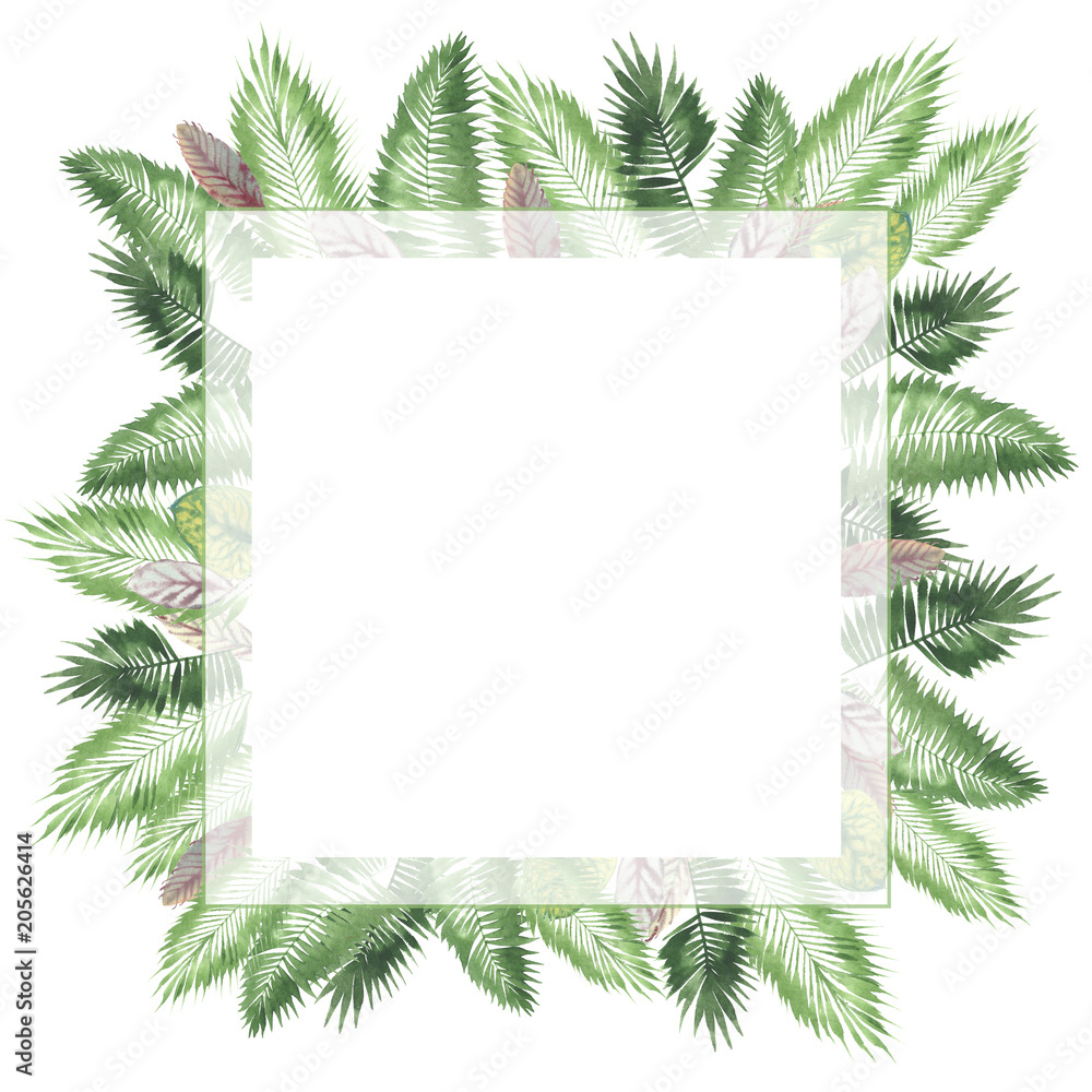 tropical watercolor background, natural leaves, paportnik, dense jungle, palm leaves, liana, traditional chant, callas, lianas, on white background