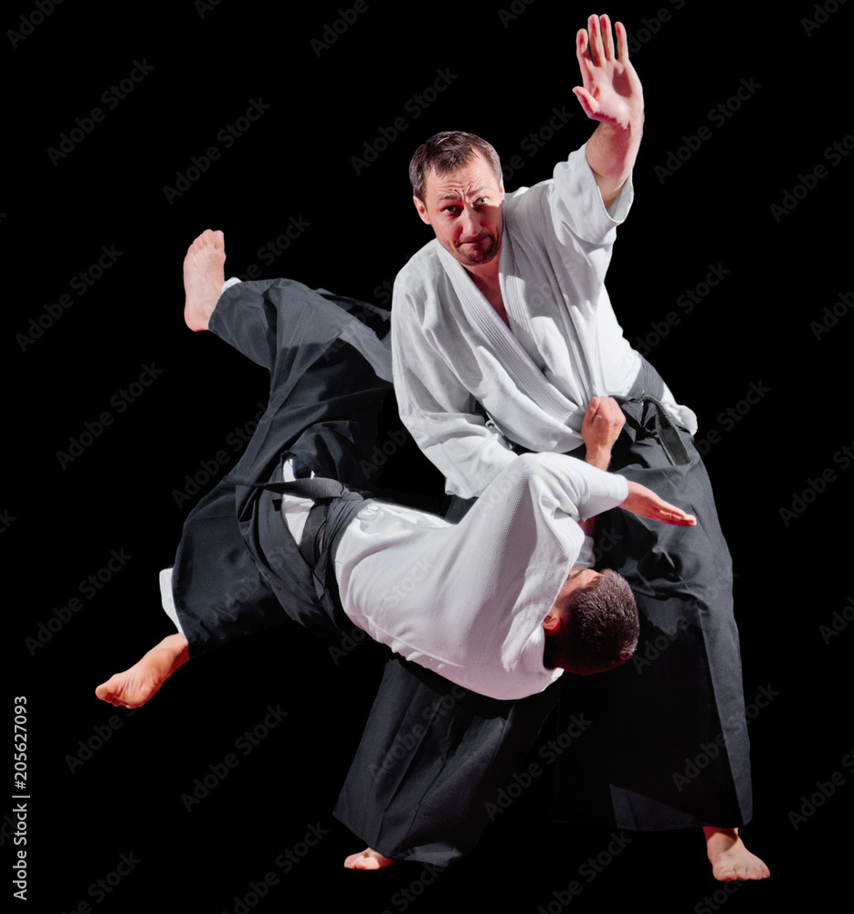 Two martial arts fighters Two martial arts fighters