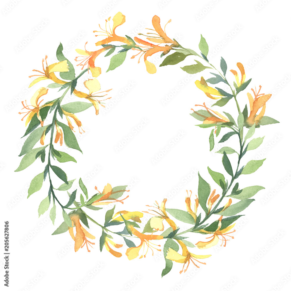 Wreath of watercolor yellow Lonicera flowers on white background. Flowers for wedding cards. Wreath of watercolor yellow Lonicera flowers on white background. Flowers for wedding cards.
