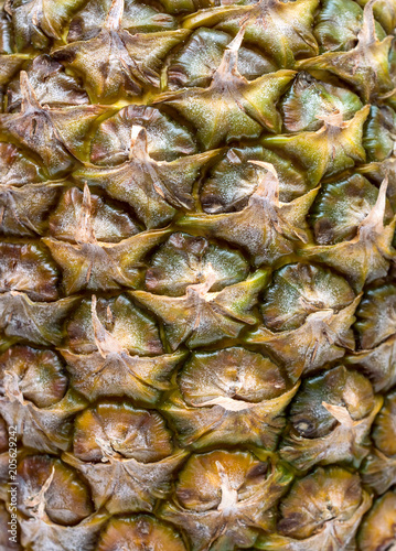 Texture of pineapple skin as abstract food background.