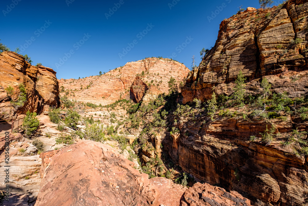 Landscape in Zion National Park Landscape in Zion National Park