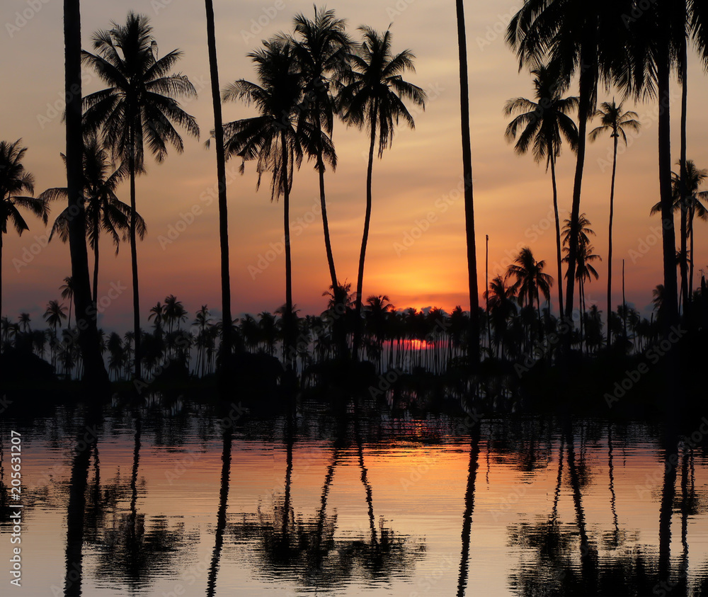 beautiful orange sky with cloud behind the coconut trees at sunset in Thailand