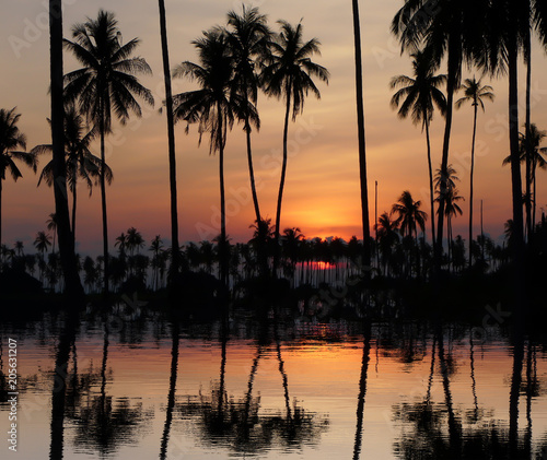 beautiful orange sky with cloud behind the coconut trees at sunset in Thailand
