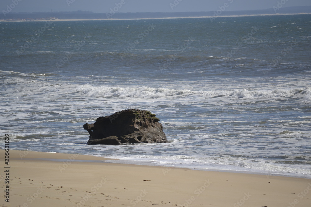 A rock on the beach