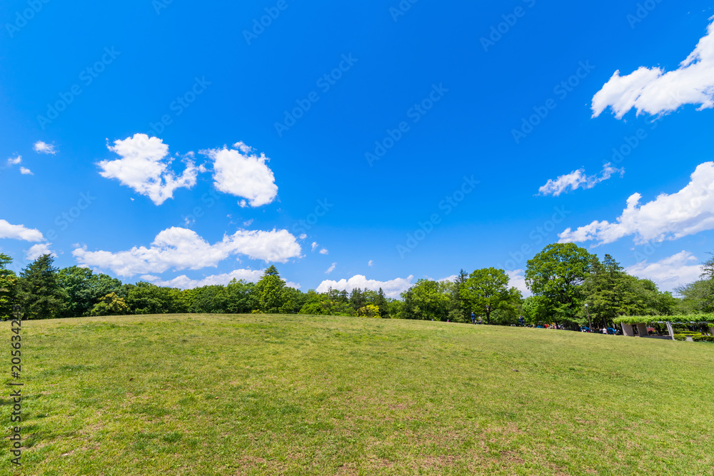 Obraz premium 府中の森公園の芝生広場