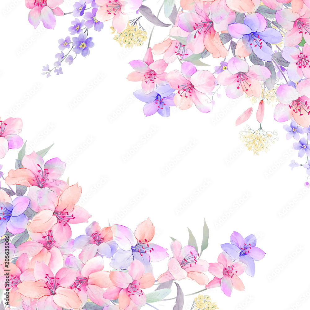 Watercolor rose peony flower Watercolor rose peony flower
