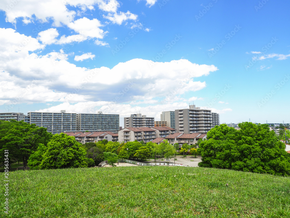 Obraz premium マンションが建ち並ぶ住宅街