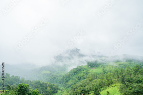 Fog Cover Mountains Doi Luang Chiang Dao Chiang Mai Northern thailand. Morning After rain  it is refreshing and relaxing landscape nature concept