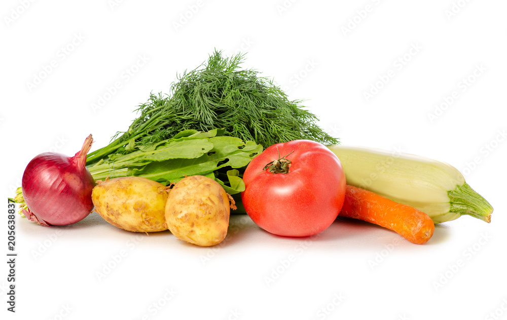 Dill green ssorrel on white background isolation Dill green ssorrel on white background isolation