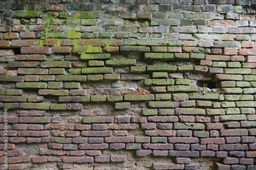 Fototapeta premium Alte Mauer
