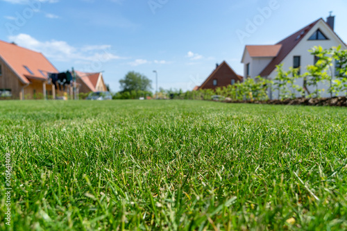 Fotografija grass in the backyard of a house - summer time